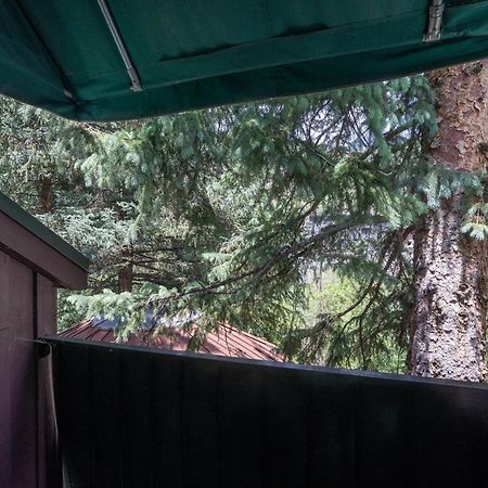 Manitou Lodge 11 By Alpine Lodging Telluride Esterno foto